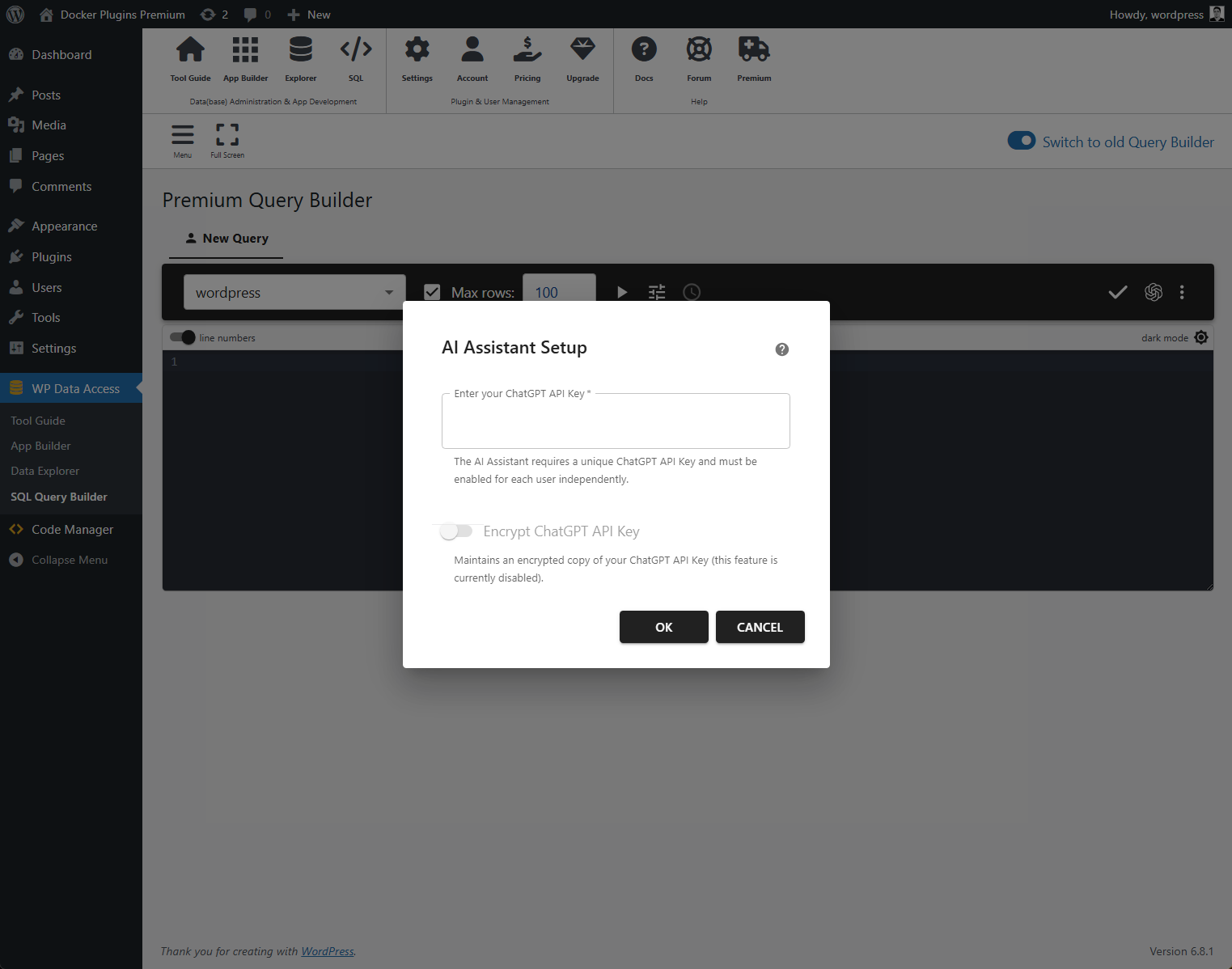 WP Data Access - AI Setup API Key